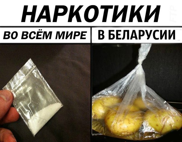 Порция бреда и абсурда к пятнице