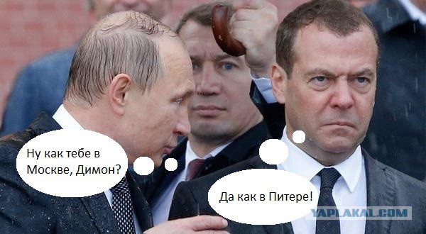 Под дождём