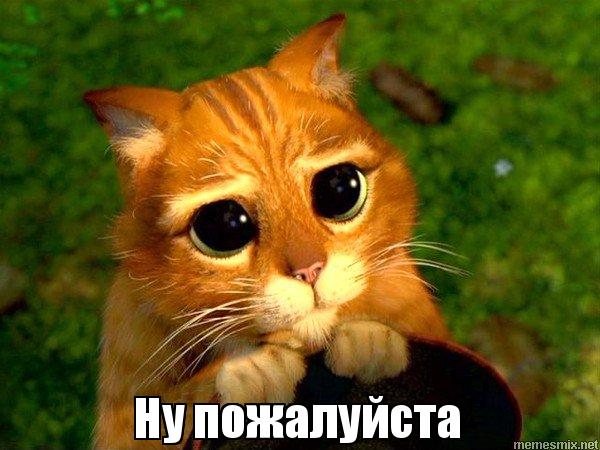 Фотожаба + футаж
