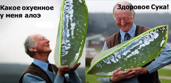 Приколы в стиле "регресс"