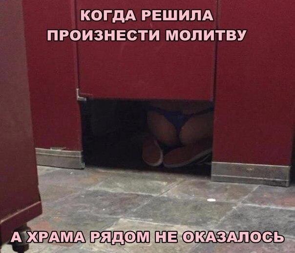 Скотсети и прочие интернеты 25.12.17