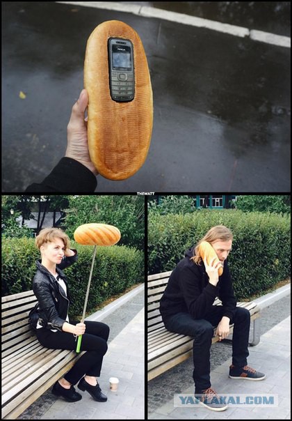 Тупик эволюции