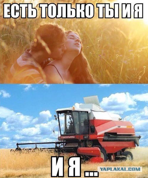 Хорошо в деревне летом