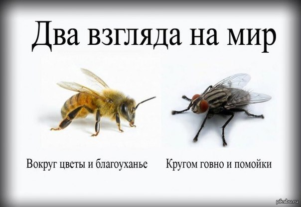 Ответ на ванильное сочинение.