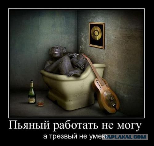 Итоги проверки пользователей