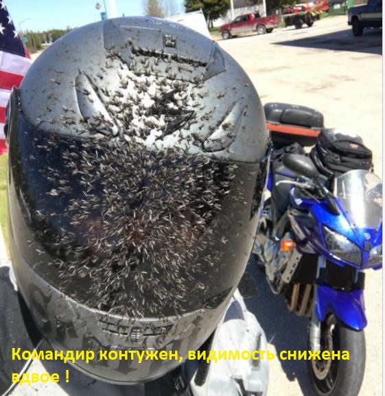 Подборка интересных и веселых картинок
