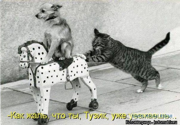 Чемпионат России по футболу.Межсезонье.