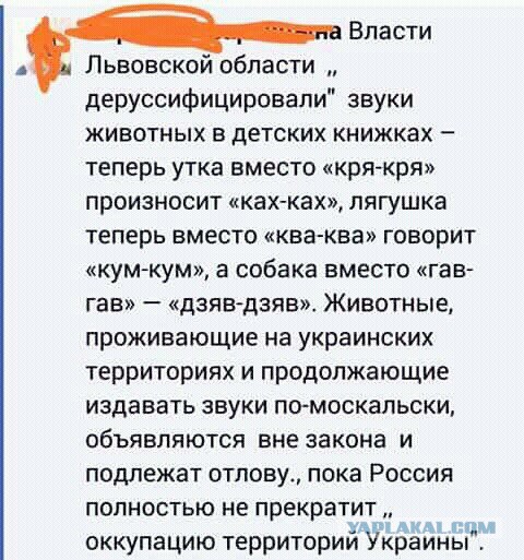 Прикольные комментарии и высказывания из Сети 24.10.2018
