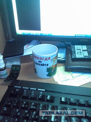 Никогда не сдавайся!