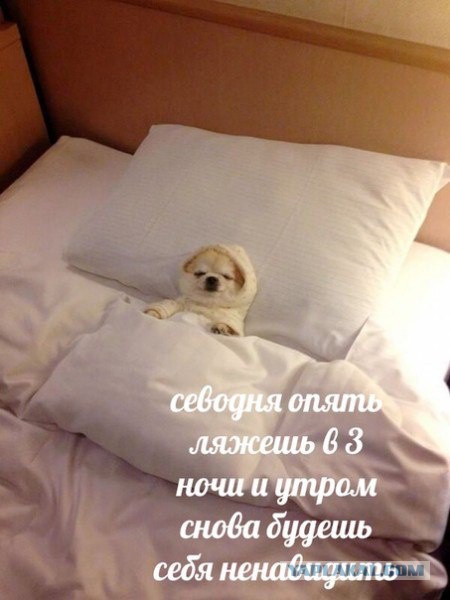 Немного картинок для настроения