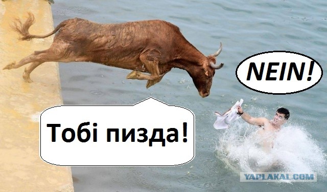 Подборка интересных и веселых картинок 14.07.19