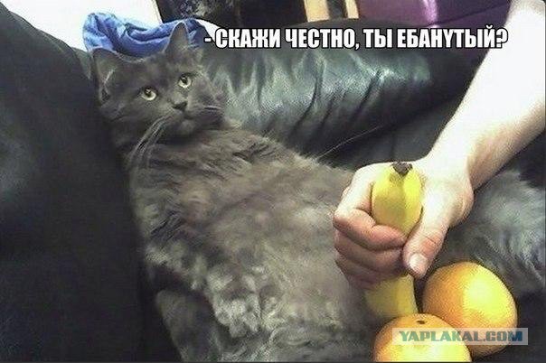 Насобиралось, вот, картинок. Местами с юмором.