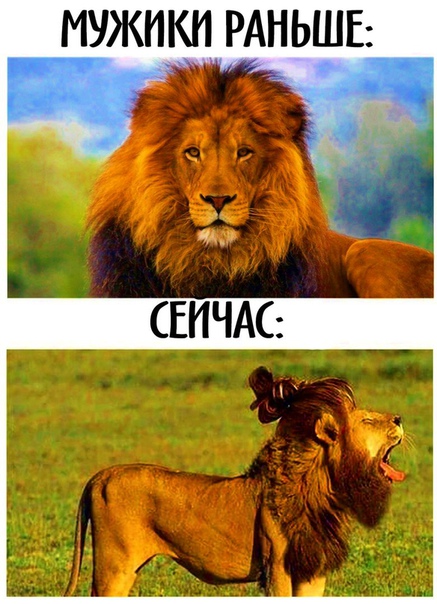Подборка так себе картинок
