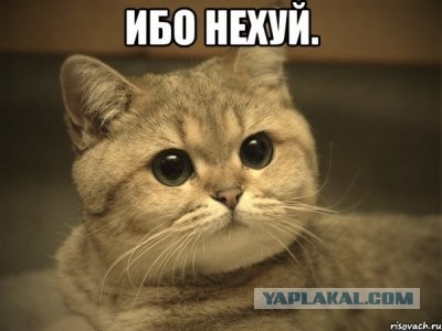 «Победа» с 1 апреля приостановит все полеты
