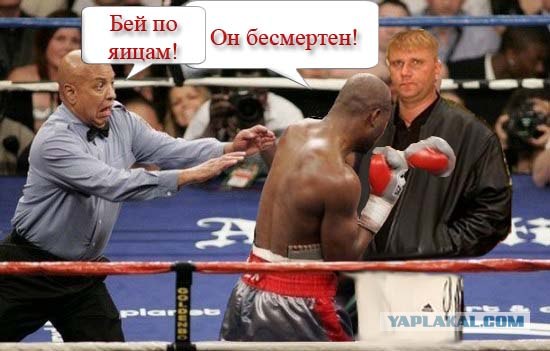 Фотожаба: Что вы с ним делаете?
