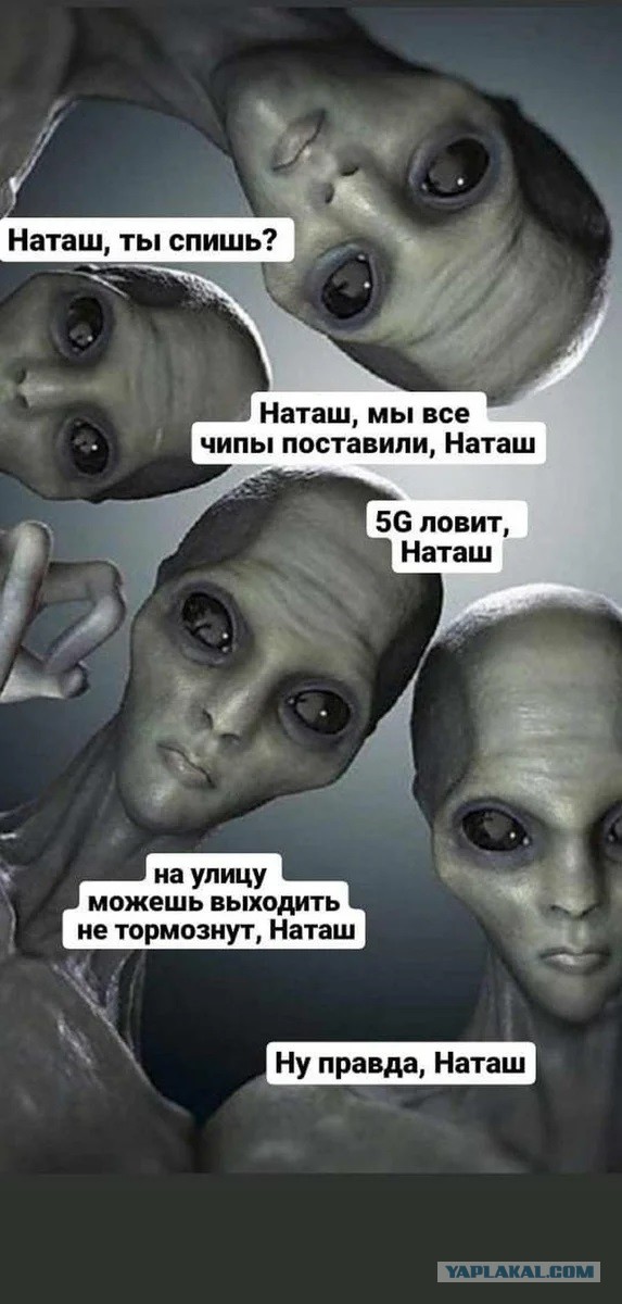 5G бунт в Ленинградской области