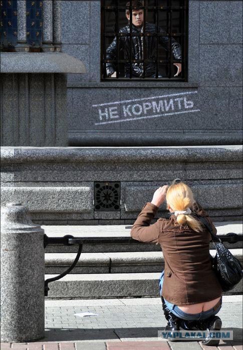 Фотожаба: Ты сними меня,сними фотограф