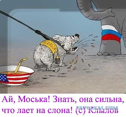 Пословицы