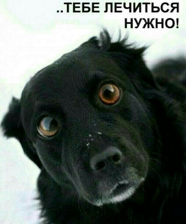 Друзья! Кажется я петь научился! Послушайте мою новую песню! (Пашкетт)