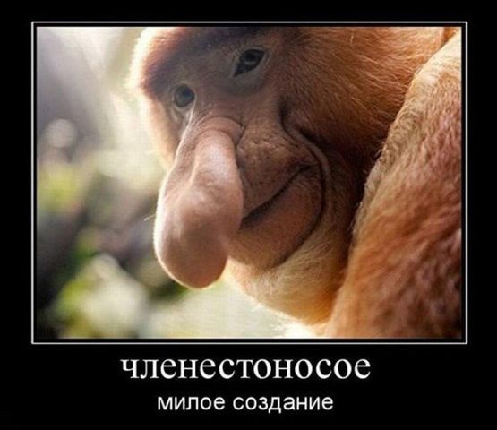 Демотиваторы древние.