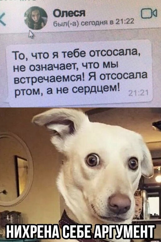 Баянисто-небаянистый юмор 7.11.20