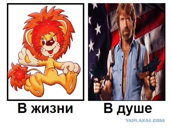 Кто есть кто?