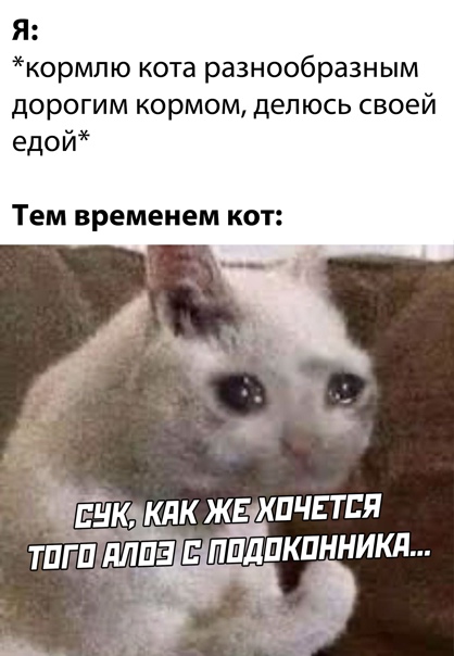 Юмор и прикольные картинки 04.12.2020