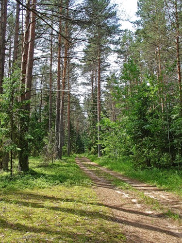 Красивейшие дороги.
