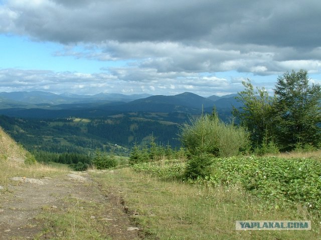 Карпаты, Закарпатье.