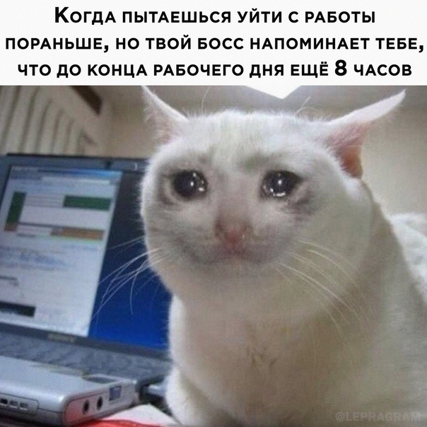 Картинки и мемы для настроения 09.12.2021