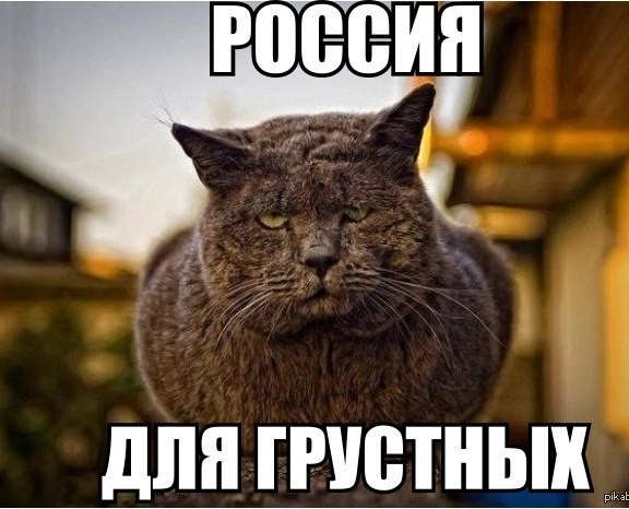 В ростовских ЗАГСах запретили смеяться во время бракосочетания