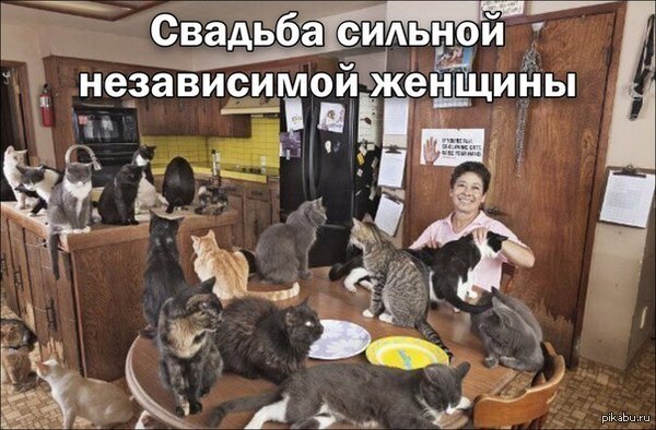Картинки и мемы для настроения. Выходные рядышком...