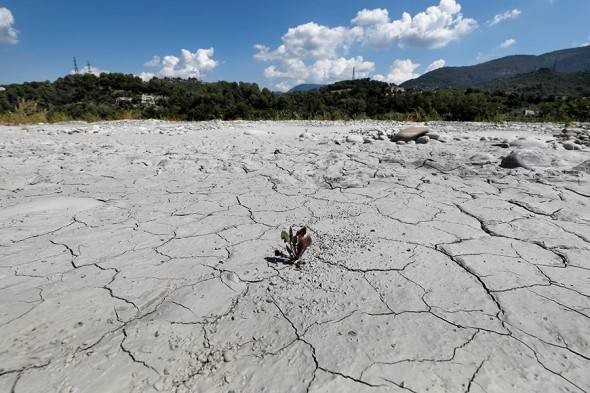 «Нам нужна вода! Последствия драматичны»: В ожидании ледяной зимы Европа  страдает от сильнейшей засухи