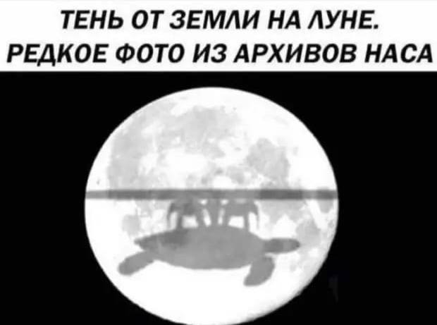 Картинки и мемы. Выходные близко...