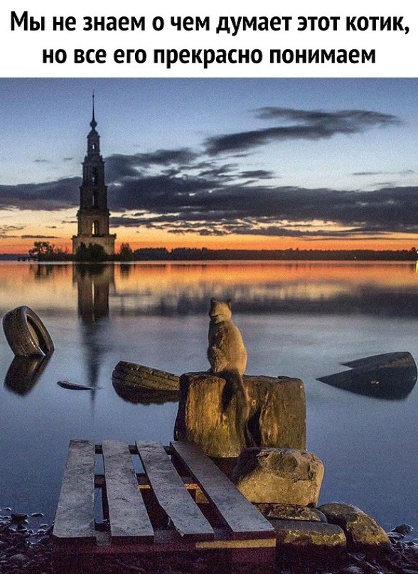 Картинки и мемы. Выходные близко...