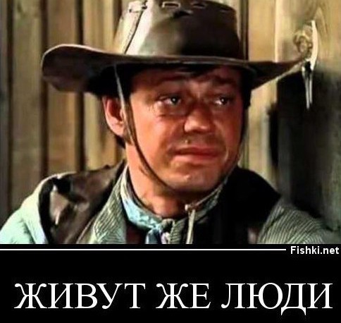 Котэ в шоке!