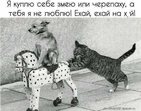 Юмор в картинках и без