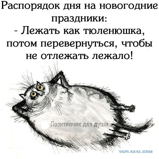 Кто как спит