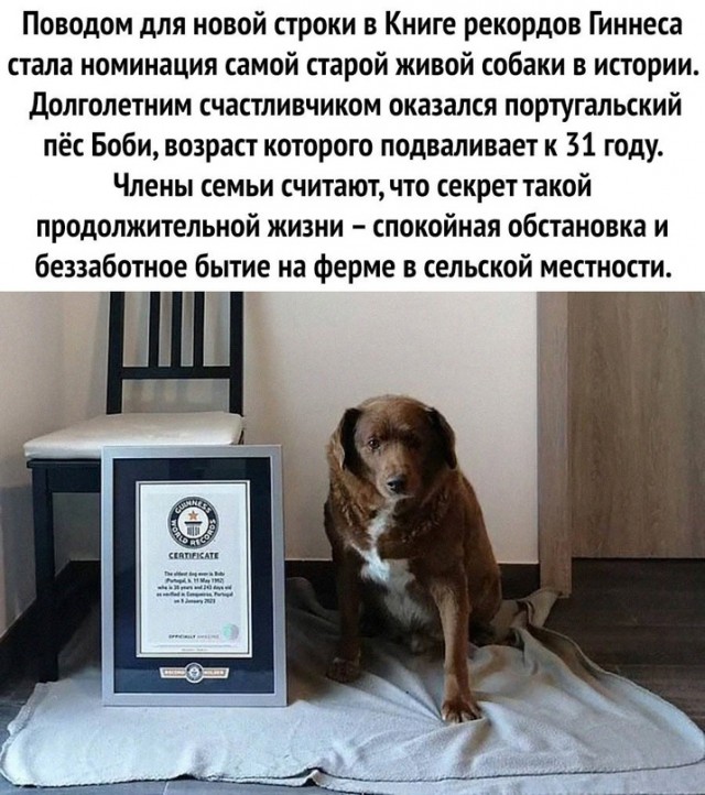 Немного картинок для настроения - 133