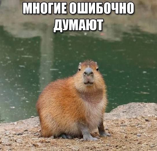 Всего понемногу 10.03.23