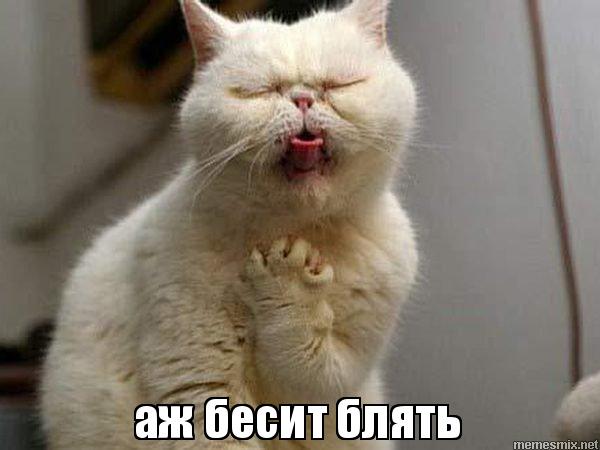 И у нас весна!