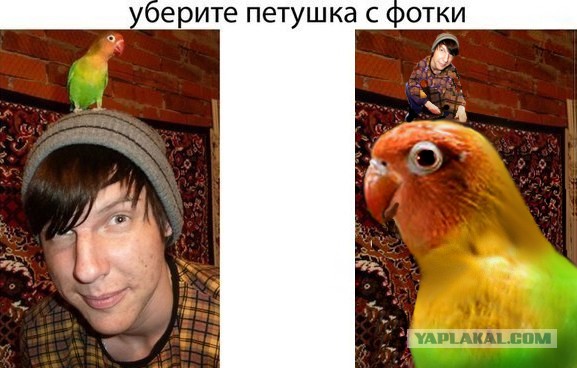 Просил убрать? Убрали