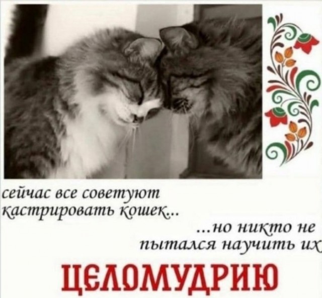 Девятая подборка самых баянистых баянов! Ностальгируем...