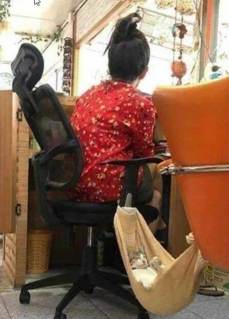 Уморные пикчи