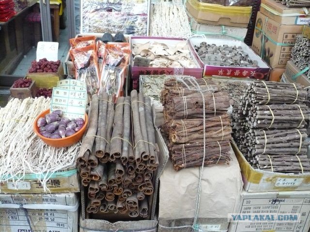 Тем временем в Южной Корее