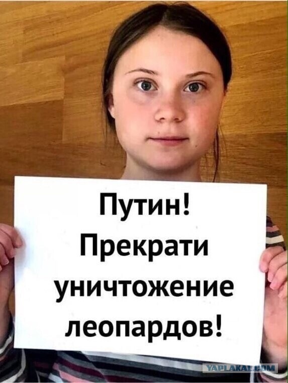 Минус один новейший Леопёрд 2А6