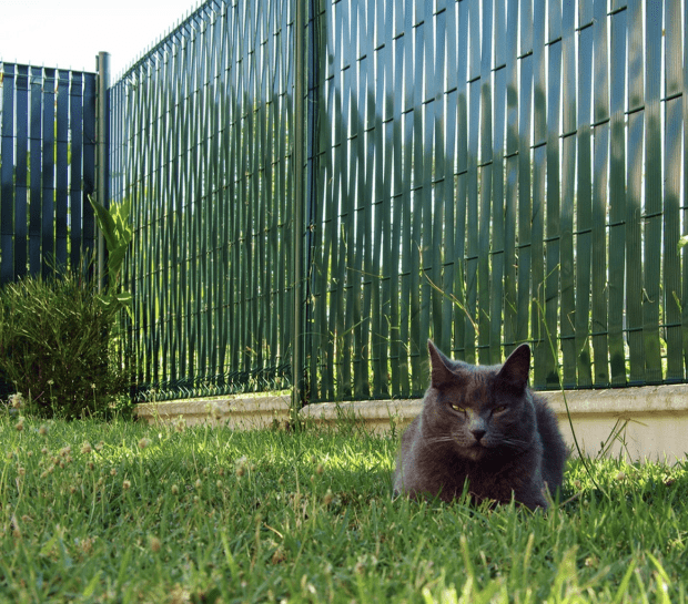 сетка газонная grinda 422285. забор сетка рабица. сетка имеет. сетка сварная 30х30х2. покрывало на диван антикошка.