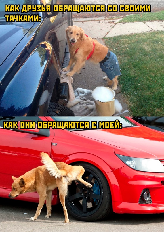 Весёлый полтишок 22.04.24