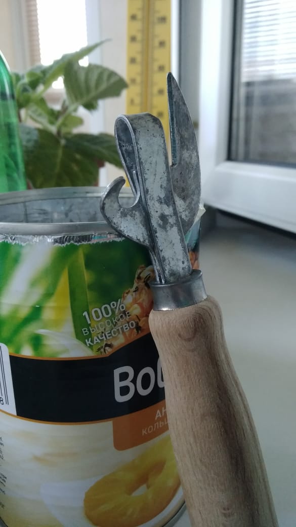 Меня назвали тупой дурой