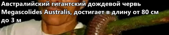 ФотоВинегрет